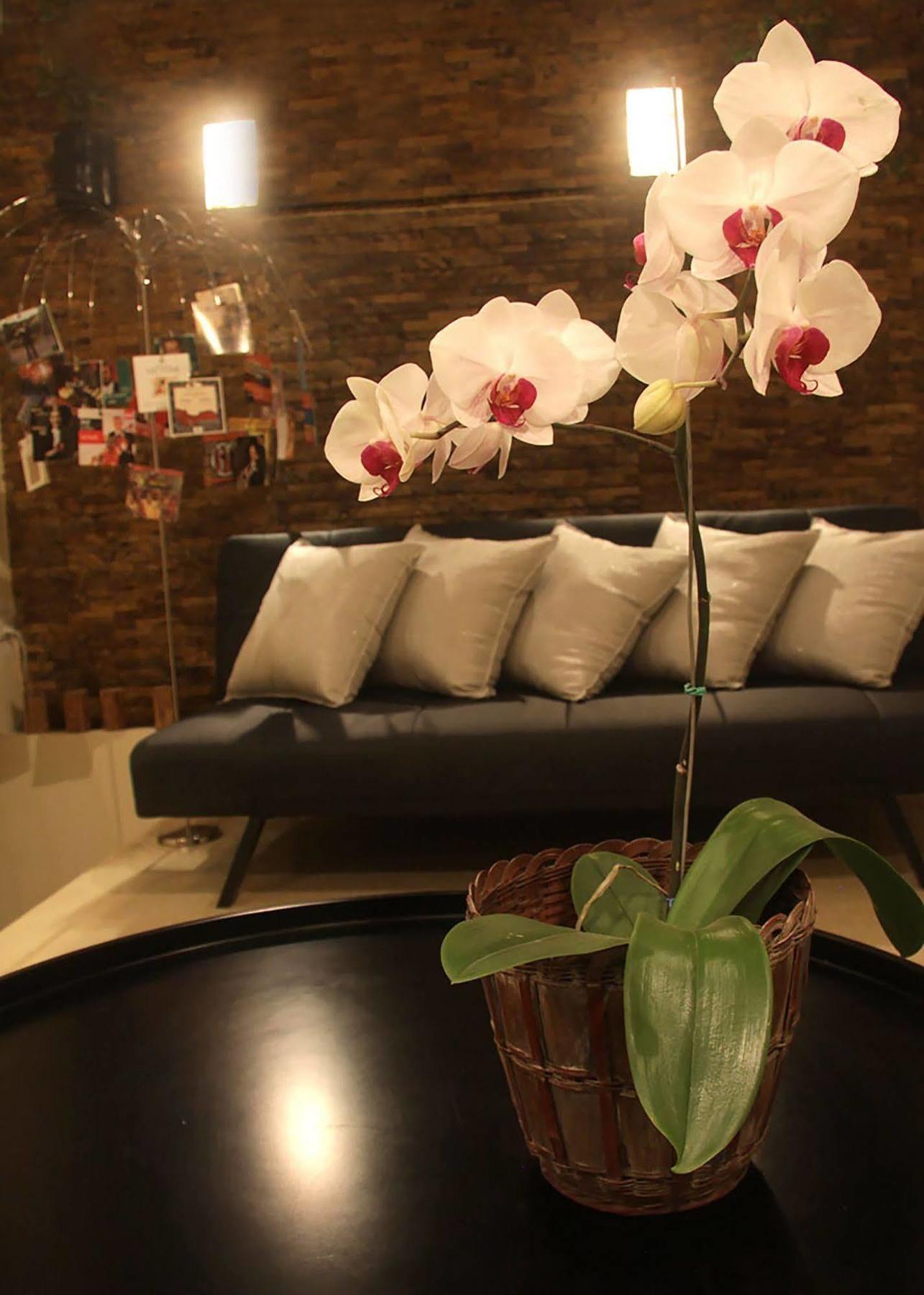 בוגוטה 6 Suites Hotel מראה חיצוני תמונה